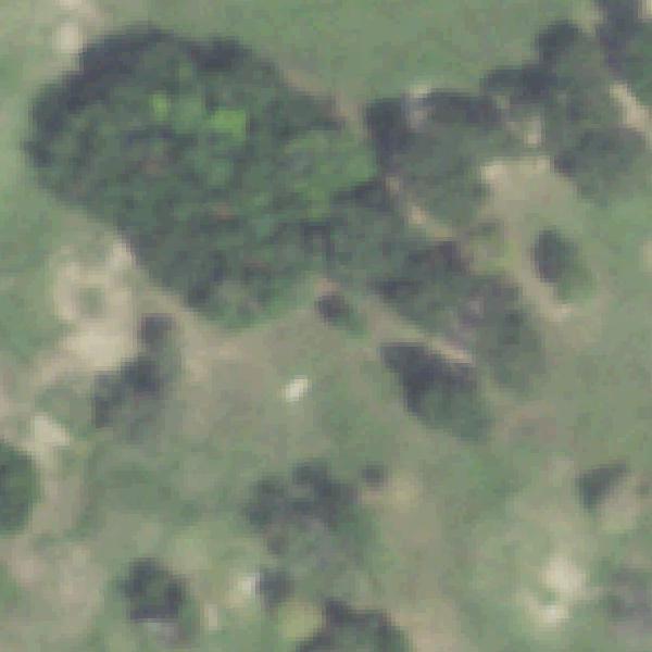 Aerial photo of Agnes Moffitt Park