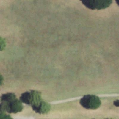 Aerial view of Alamo Park