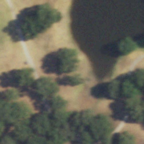 Aerial view of Allan Saxe Park