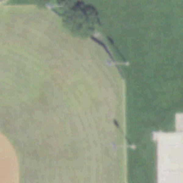 Aerial photo of Anderson Park