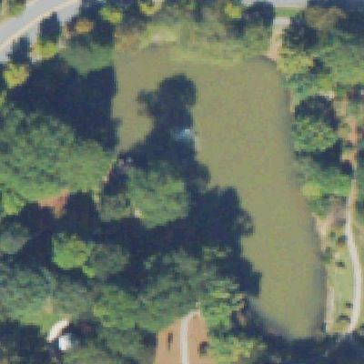 Aerial view of Arboretum and Pond
