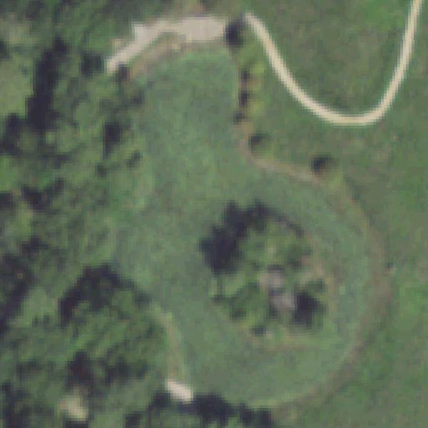 Aerial photo of Arboretum Lake