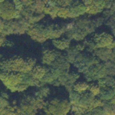 Aerial view of Atlanta Memorial Park