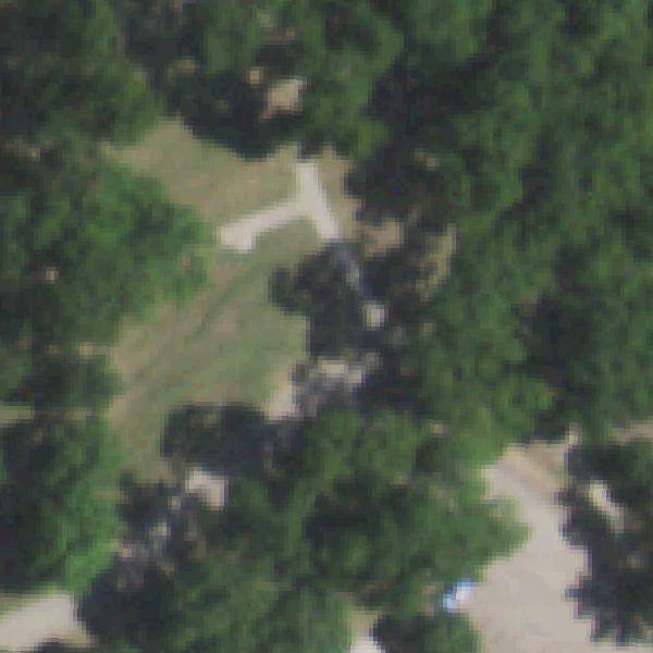 Aerial view of Audubon Park