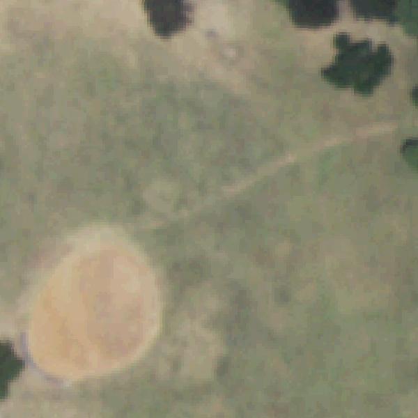Aerial view of Austin School Park