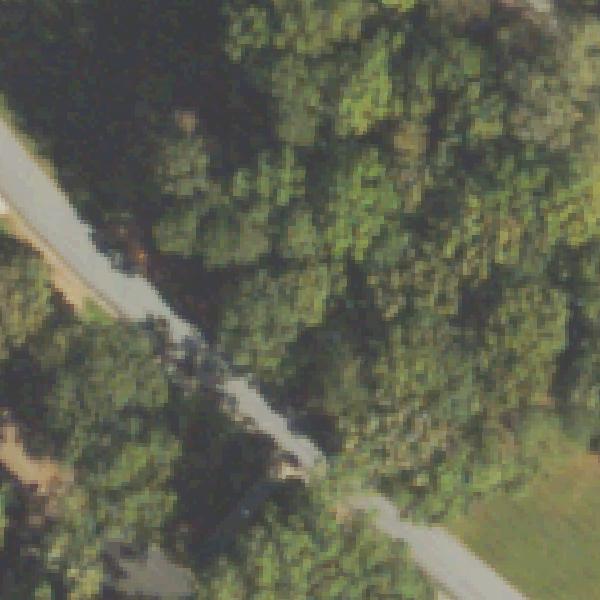 Aerial view of Autumn Park