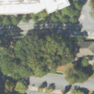 Aerial view of Bagley Park