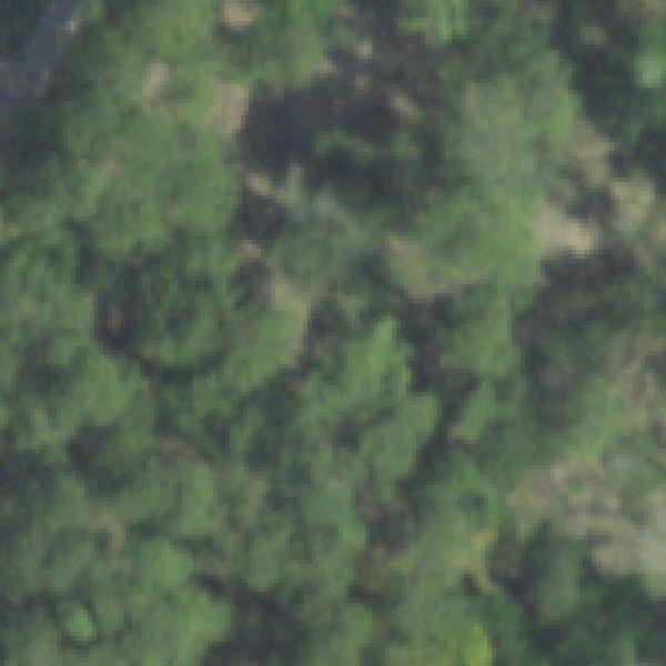 Aerial photo of Bear Creek Pioneers Park
