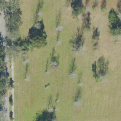 Aerial view of Bentonshire Park