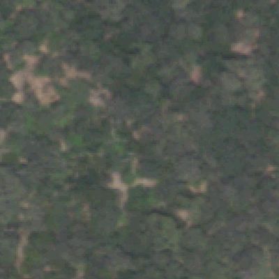 Aerial photo of Brackenridge Park