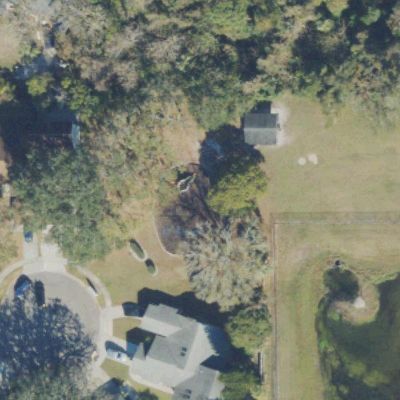 Aerial view of Branch Tree Park