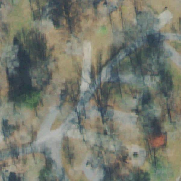 Aerial photo of Cages Bend Recreation Area