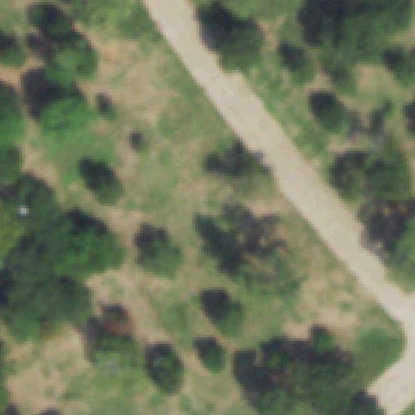 Aerial photo of Canyon Creek Park