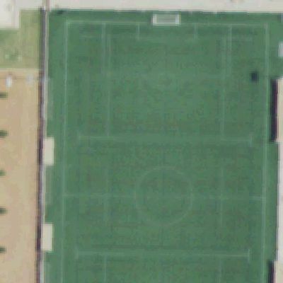 Aerial view of Carpenter Park