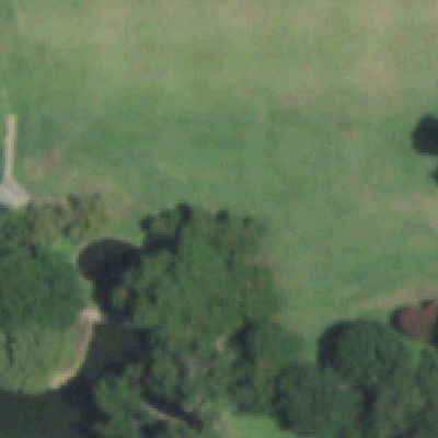 Aerial view of Caruth Park