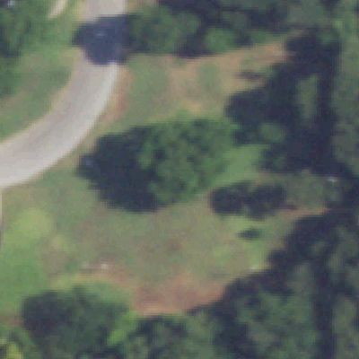 Aerial view of Central Park