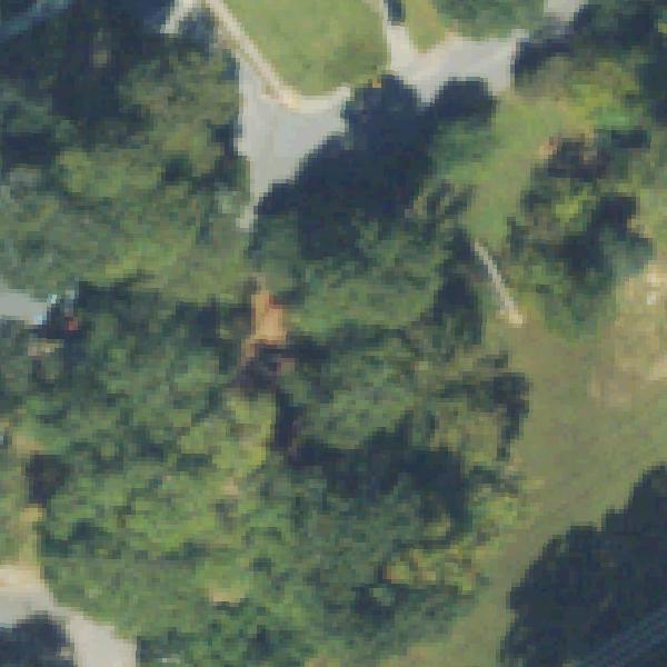 Aerial view of Channing Valley Park