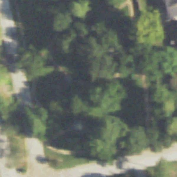 Aerial photo of Charlie Gant Park