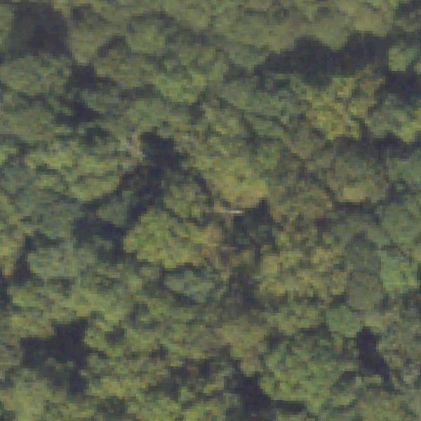 Aerial view of Chosewood Park