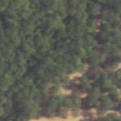 Aerial view of Clarence Thompson Park