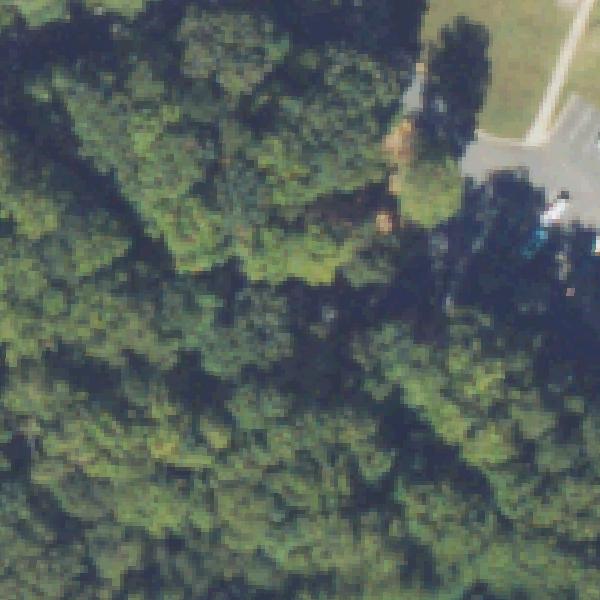 Aerial view of Cobb County Shaw Park