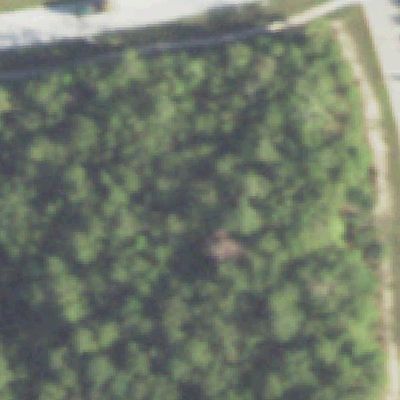 Aerial photo of Cochran Park