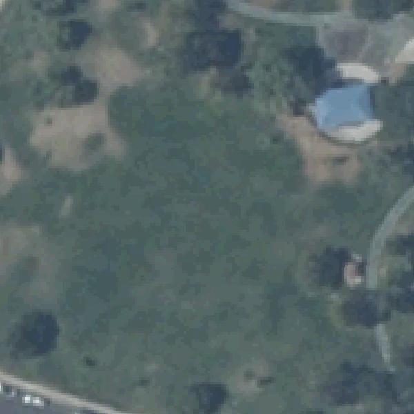 Aerial photo of Coleman Park