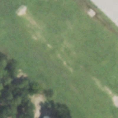 Aerial photo of Collins Park