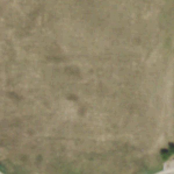 Aerial photo of Colony Park