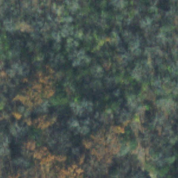 Aerial photo of Cook Day Use Area
