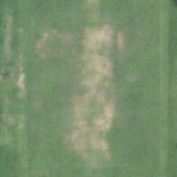 Aerial view of Cullen Park Field 9