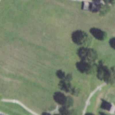 Aerial photo of David G Burnet Park