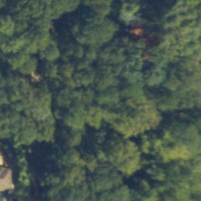 Aerial view of Dearborn Park