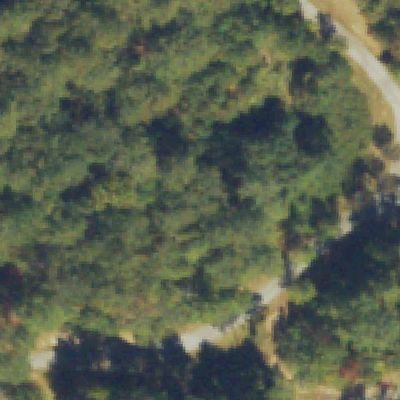 Aerial view of DeShong Park