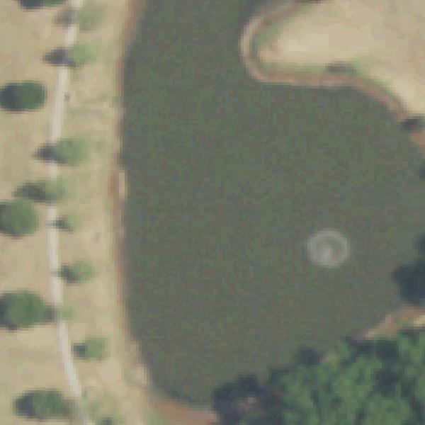 Aerial view of Duck Pond Park