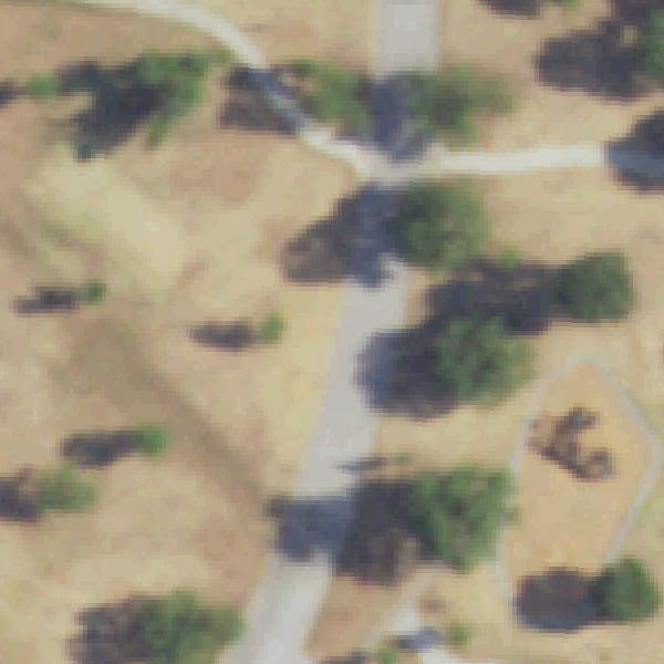 Aerial view of Duncan Robinson Park
