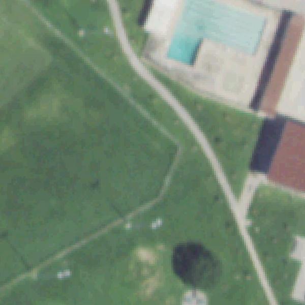 Aerial photo of Eastwood Park
