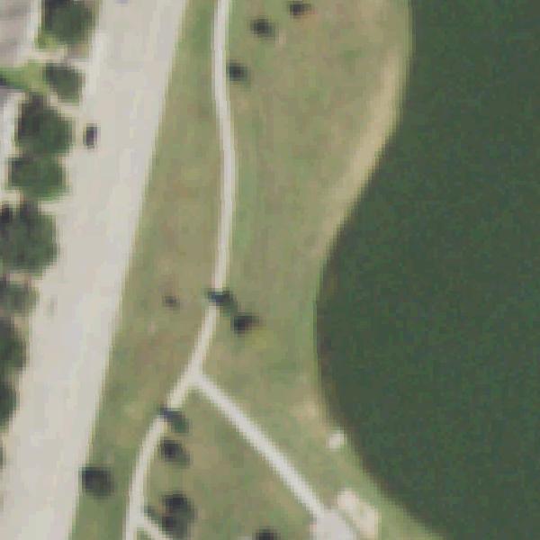 Aerial photo of Edgewater Park