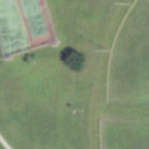 Aerial photo of Edna Mae Washington Park