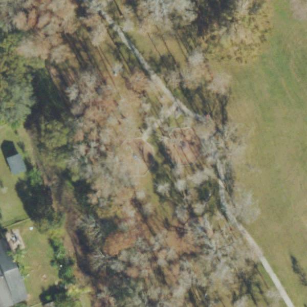 Aerial view of Engelwood Park