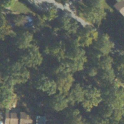 Aerial view of English Oak Park