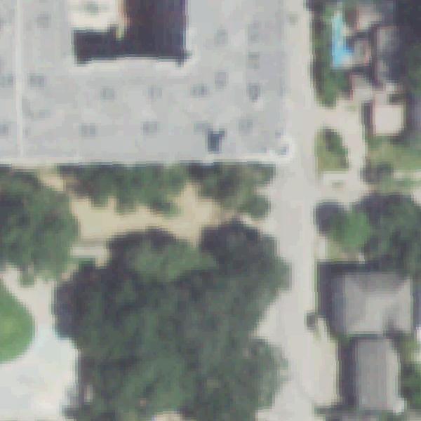 Aerial view of Ervan Chew Dog Park