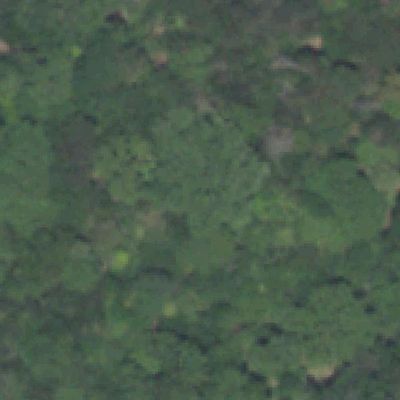 Aerial view of Fish Creek - Dallas County Nature Preserve