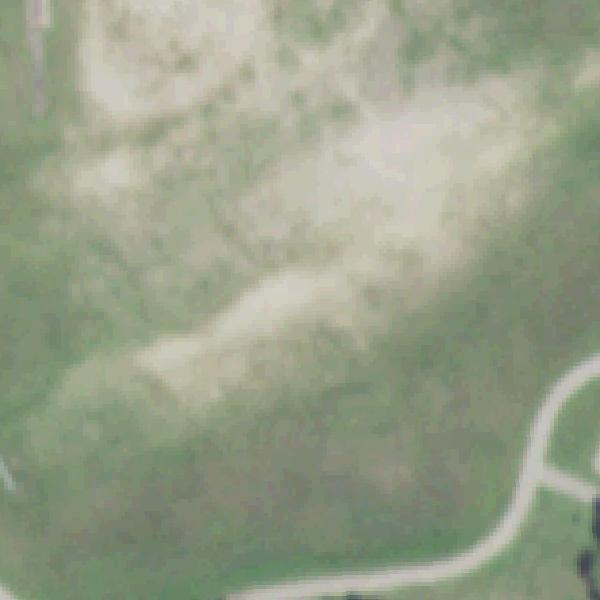 Aerial photo of Forest West Park