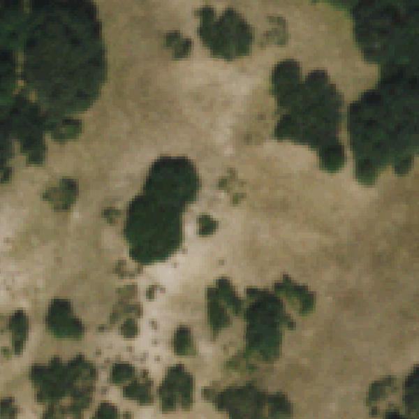 Aerial photo of Gamble Park