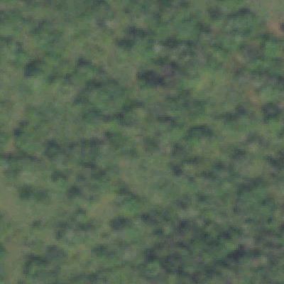 Aerial photo of George Bush Park