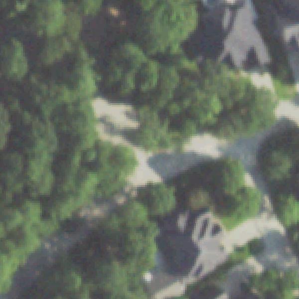 Aerial photo of George Butler Park