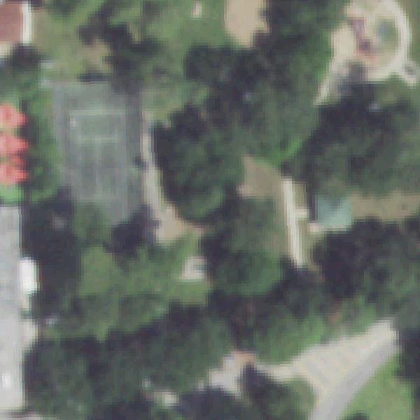 Aerial photo of Graham Park