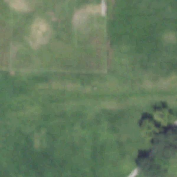 Aerial photo of Gulf Palms Park