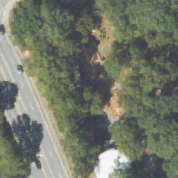 Aerial view of Hammond Park Playground